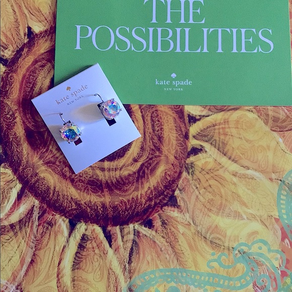 HP 🎉KATE SPADE LEVERBACKS EARRINGS - Picture 2 of 9